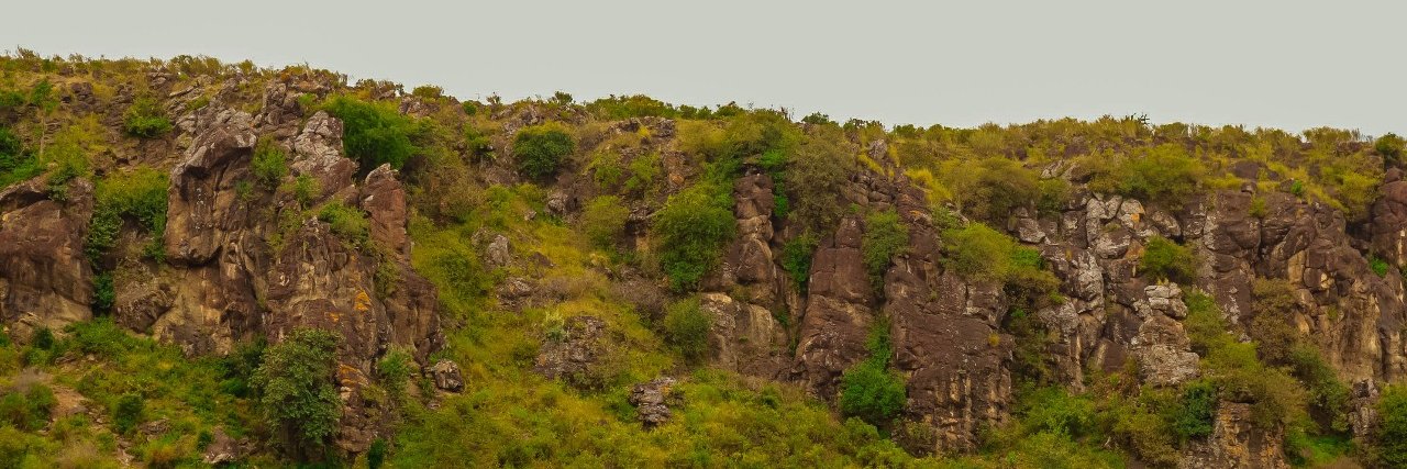 Christine Mumo banner