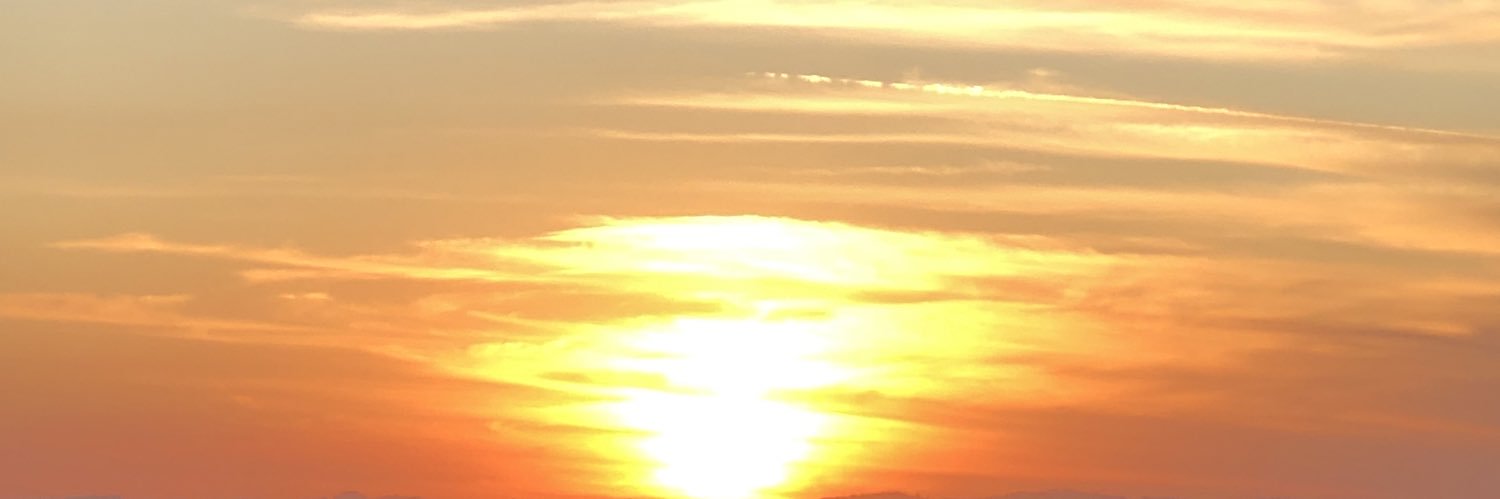 socorrofriends's profile banner image