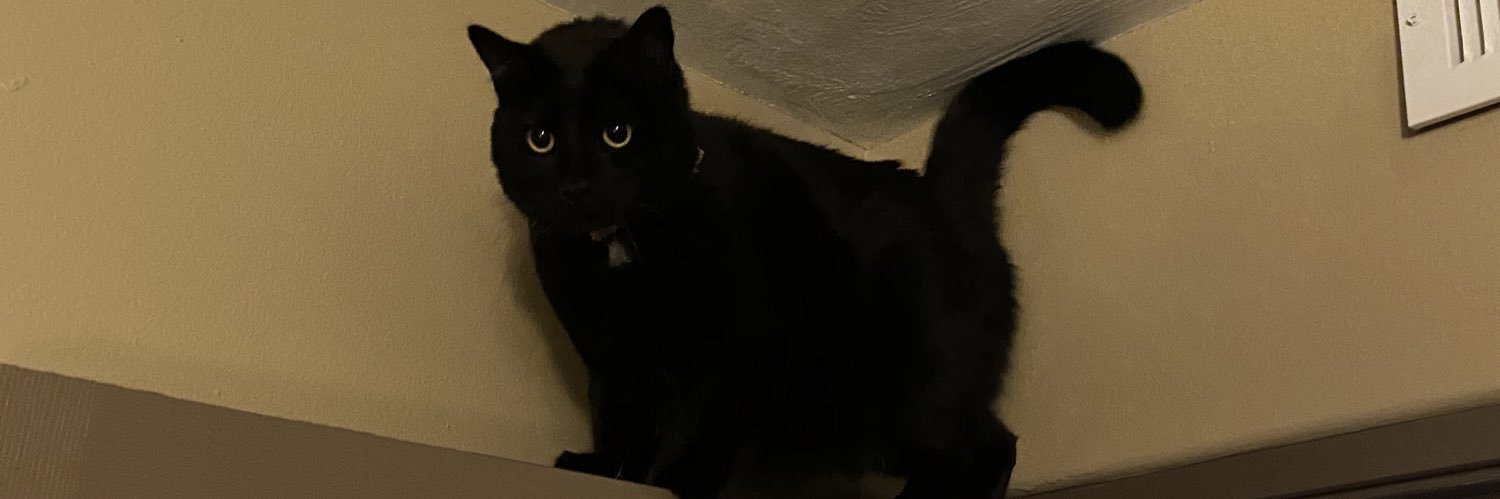 TheCamSlice's profile banner image