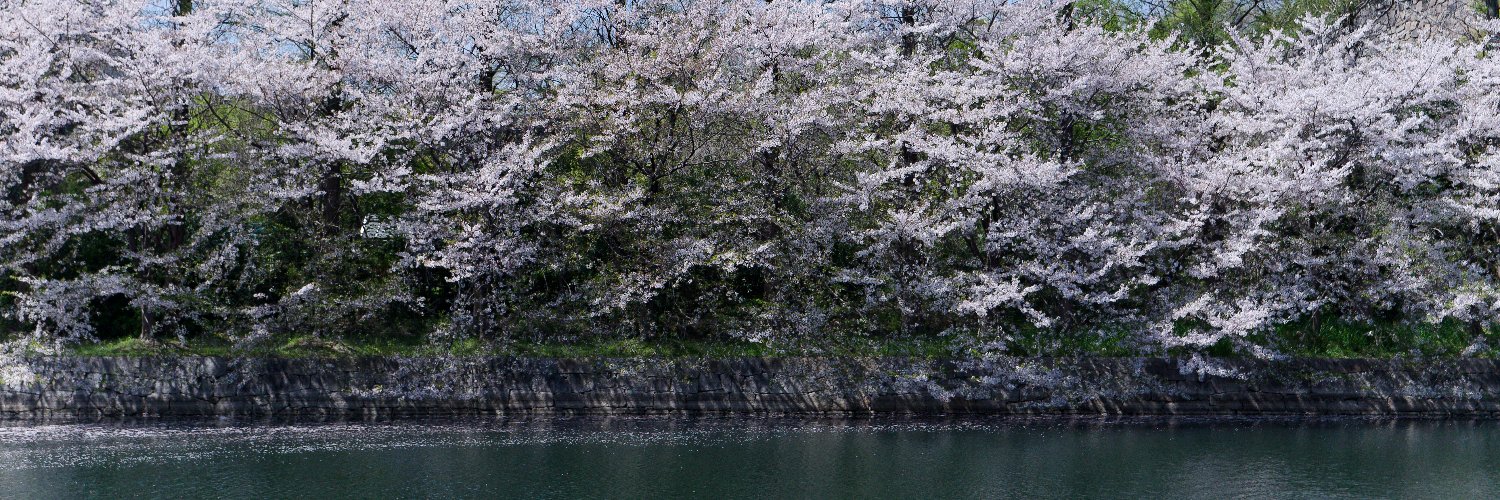 NI 湯口哲成🇯🇵日本魂復活 🙏 banner