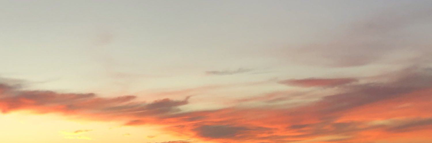 SofiaArmenta's profile banner image