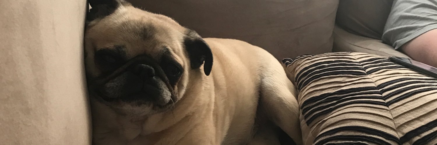 AshenMindnich's profile banner image