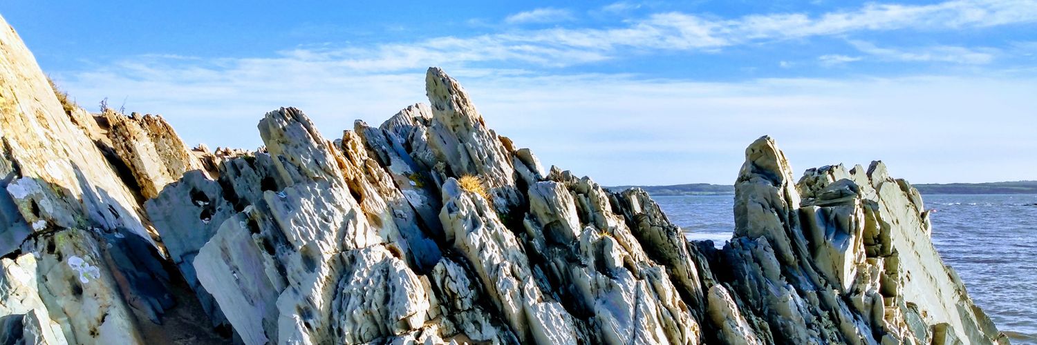 MeltedBanana's profile banner image