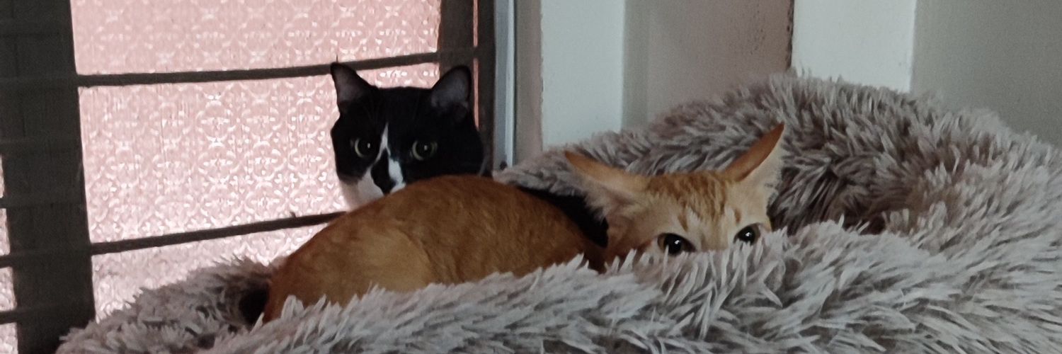 mewctian's profile banner image