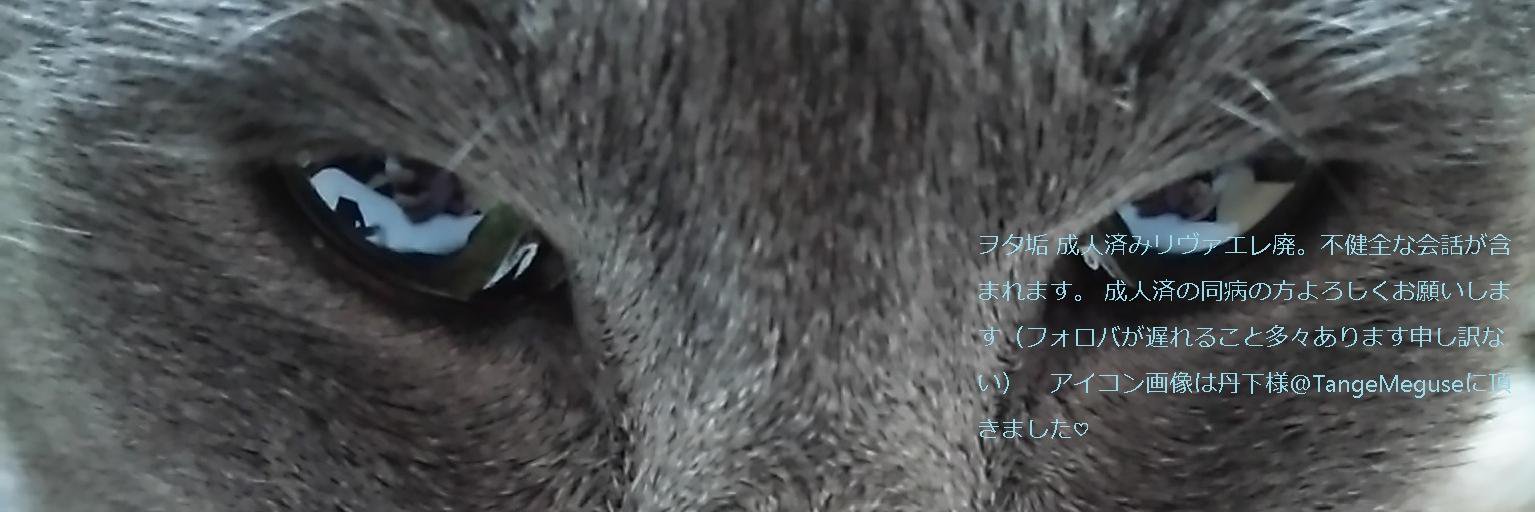 あいしゃ banner