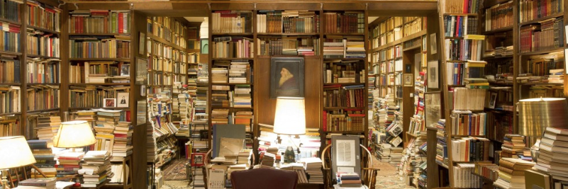 arkshortstories's profile banner image