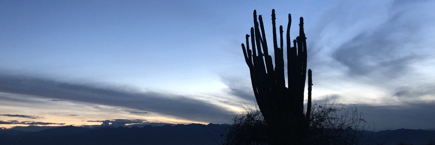 AHCallaghan's profile banner image