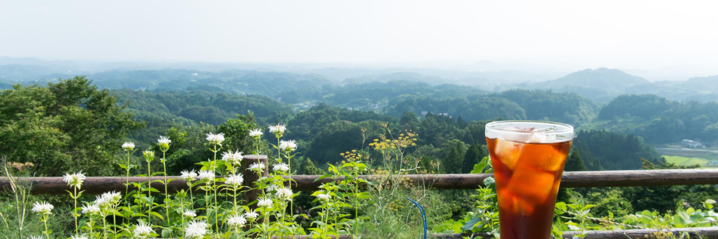info_ufo's profile banner image