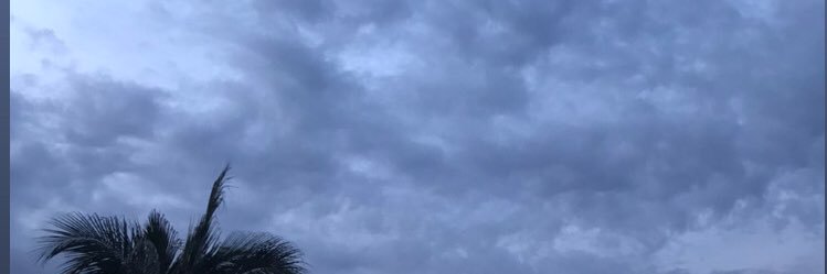 MelanyPolo8's profile banner image