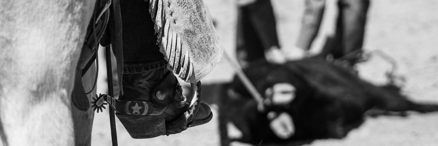 ashluce3's profile banner image