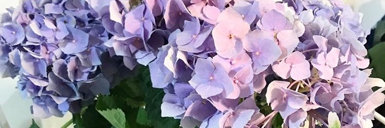 EraMi's profile banner image