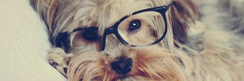 Wantuzella211's profile banner image