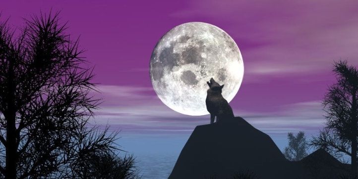WilliamBWeasley's profile banner image