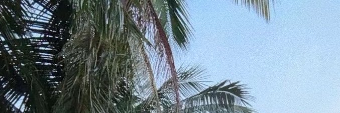 JaDarauay's profile banner image