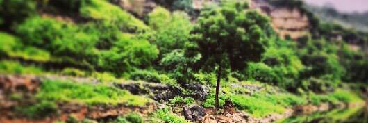 baderh1234's profile banner image