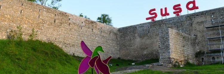 f1rid's profile banner image