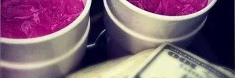 puree_gvld's profile banner image
