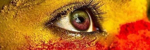 sgowda79 Profile Banner