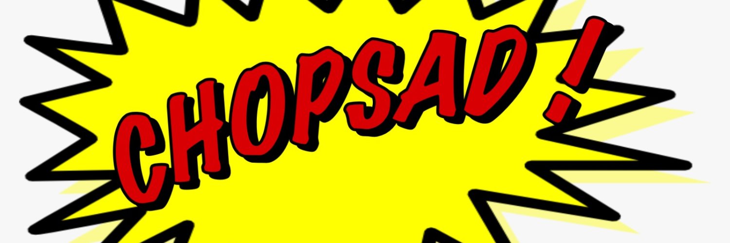 Slaycorp's profile banner image