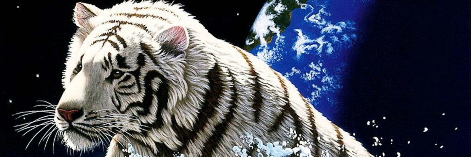 bharathbmillit1's profile banner image