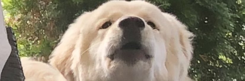 krzgrc's profile banner image