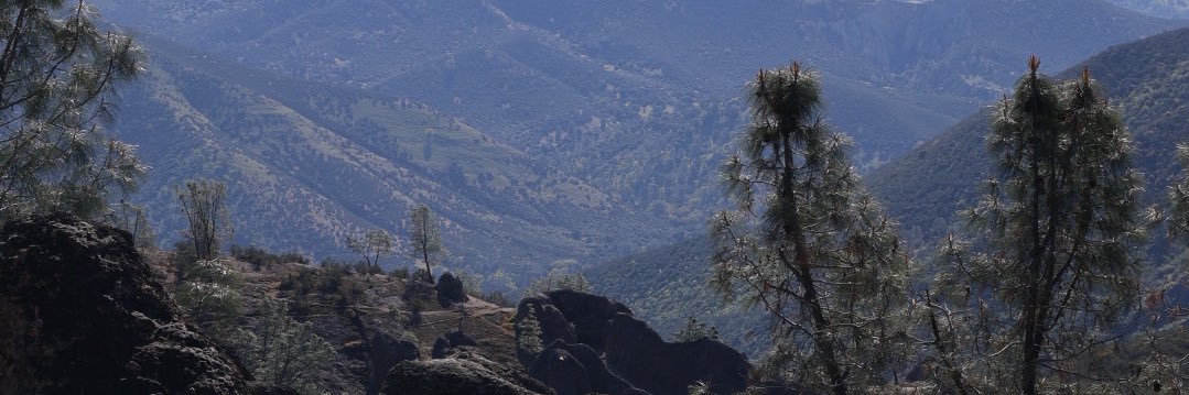 icyispicy's profile banner image