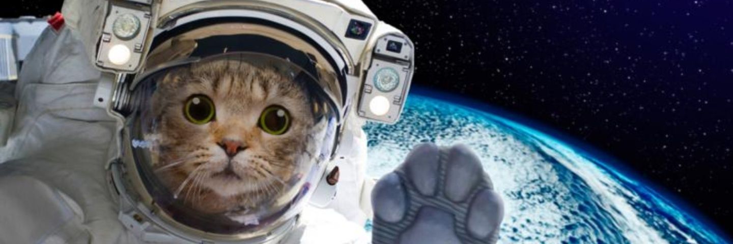 MARISAMAYORG's profile banner image