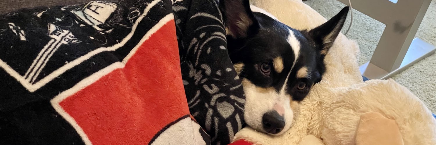 princessjango's profile banner image