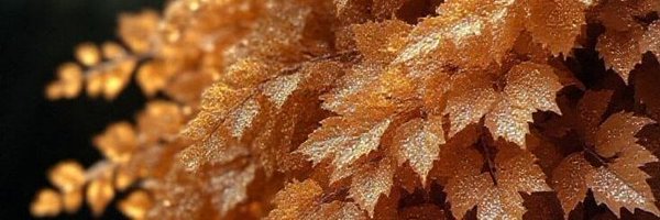 RekhaTiwari1703 Profile Banner