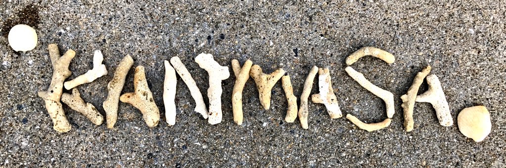 star_aru's profile banner image