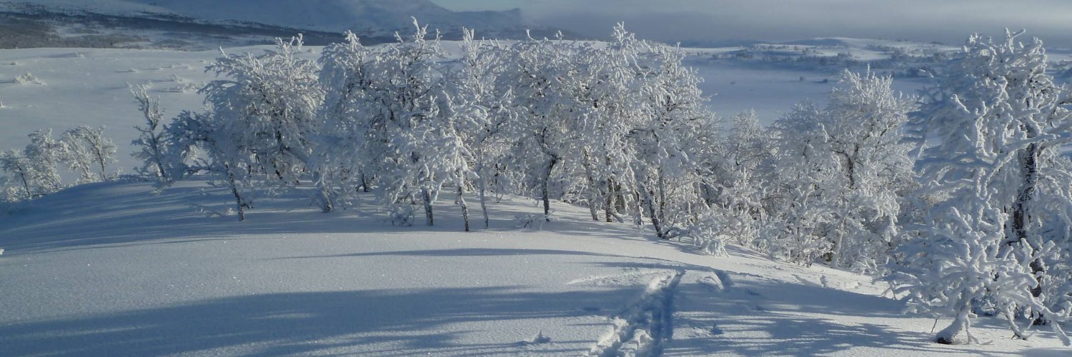 Lisa Jacobson banner