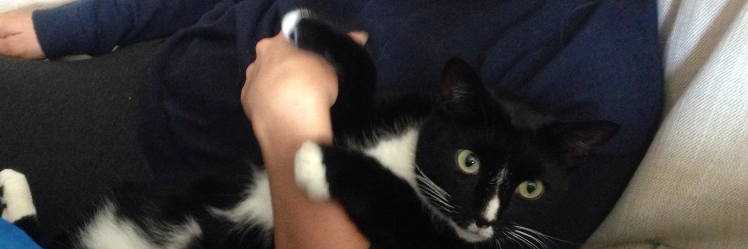 oliver_blackcat's profile banner image
