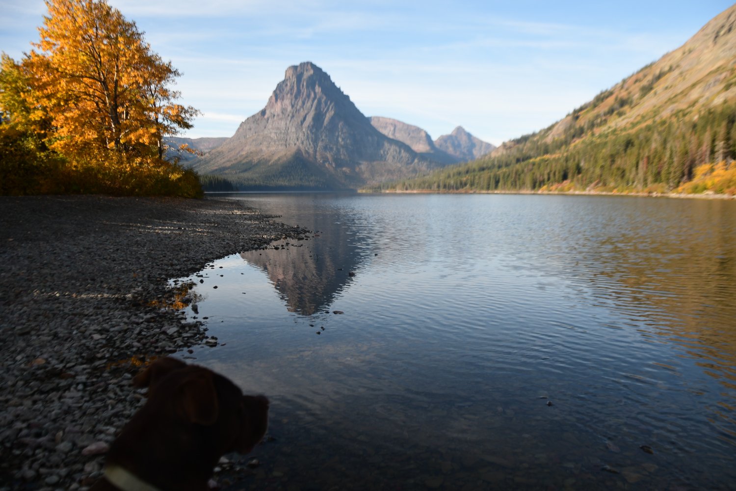 Patrick DeCoste banner