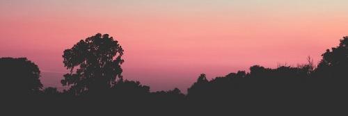 frannbl's profile banner image