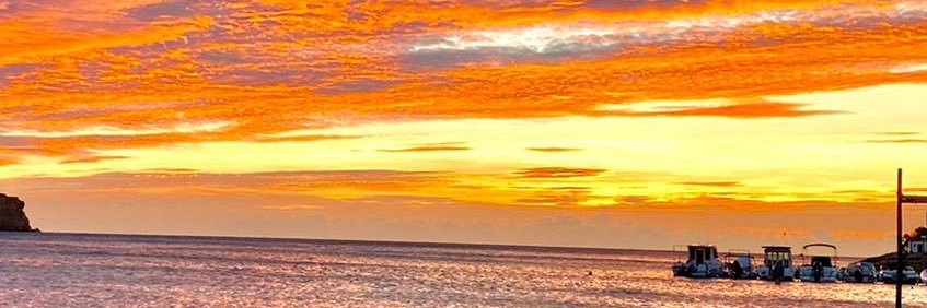 Edulobe01's profile banner image