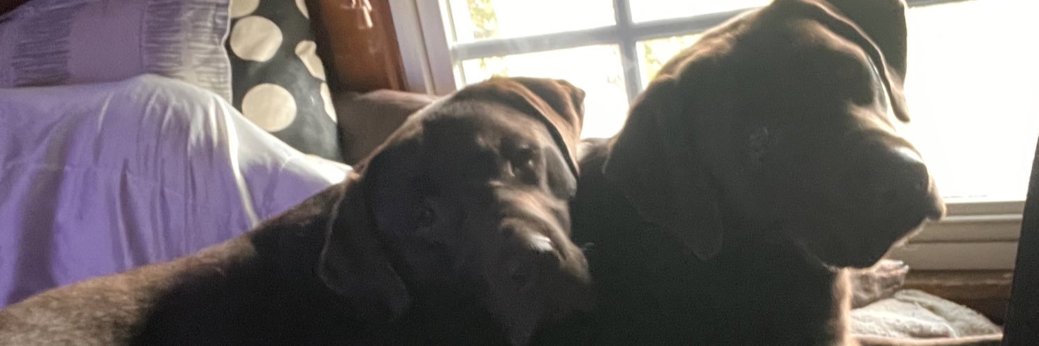 TheActorBrianHowe🟧 banner