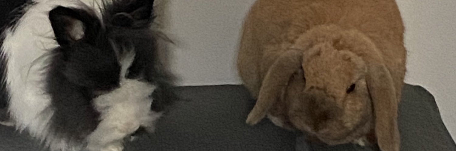 HindIey's profile banner image