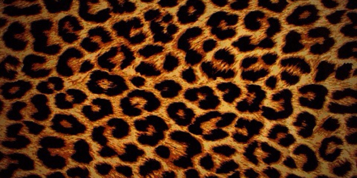 JBad19's profile banner image