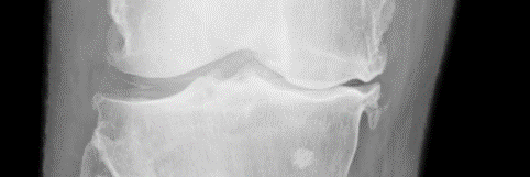 advmuscphysio's profile banner image