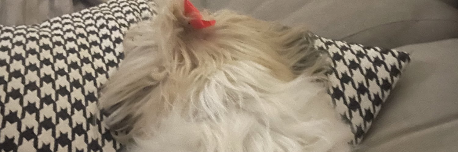 eugus12's profile banner image