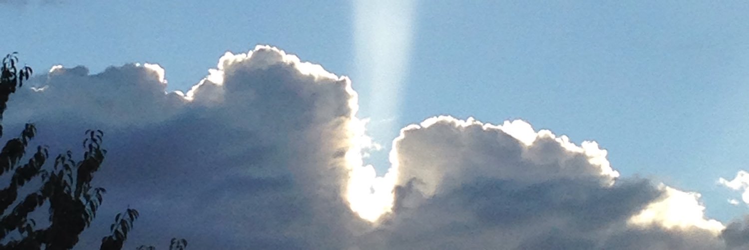 darkbunny18146's profile banner image