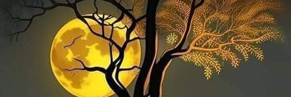 #أنيقة_المشاعر🇸🇦 banner