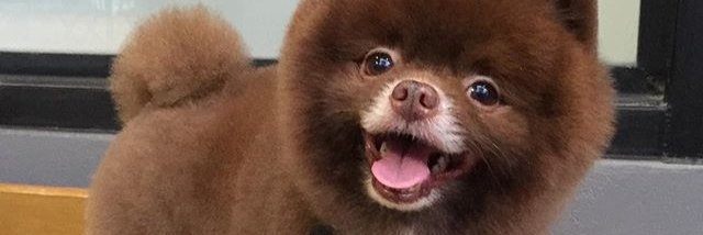fin1's profile banner image