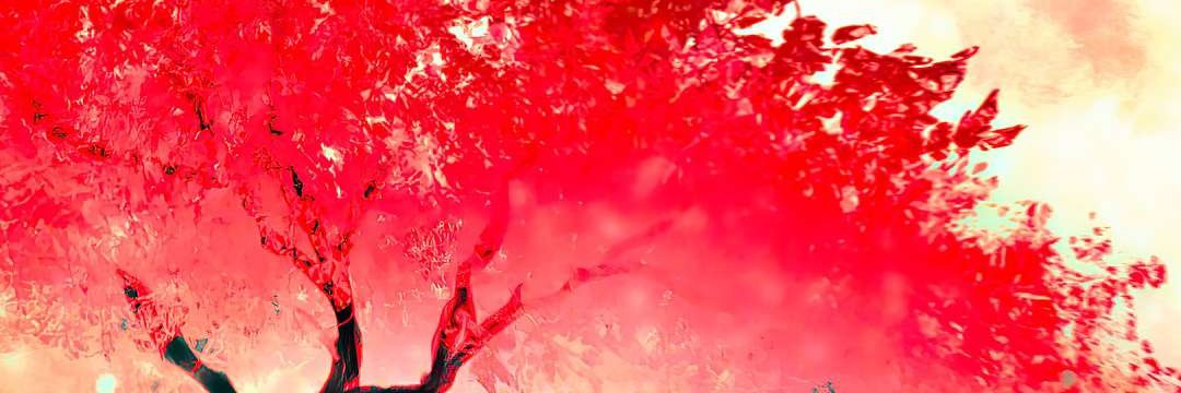Rischwik's profile banner image