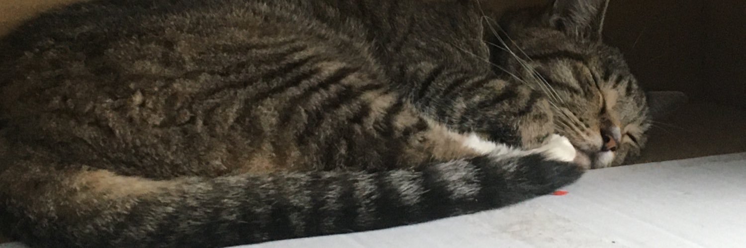 strwick's profile banner image