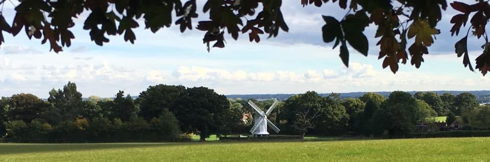C.Cllr Helyn Clack for Dorking Rural banner