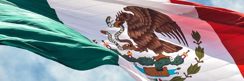 Enrique Peña Nieto's banner