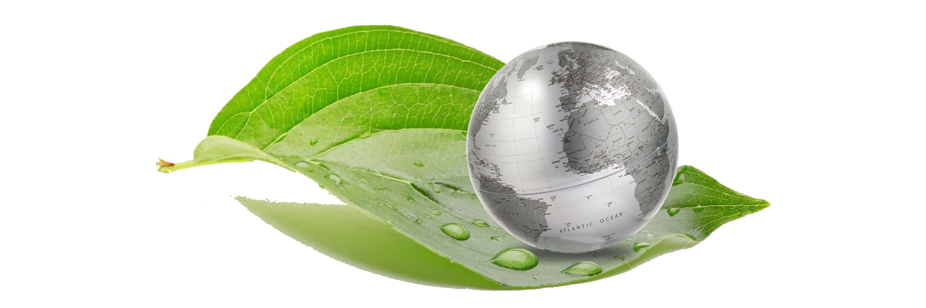 SPLTransformer's profile banner image