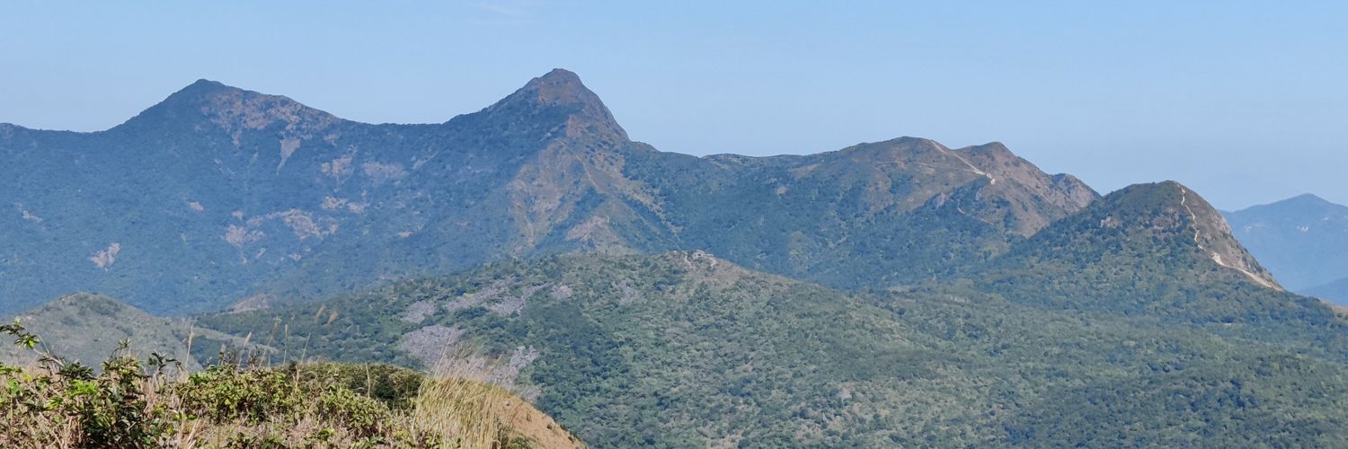 neilhodgson's profile banner image