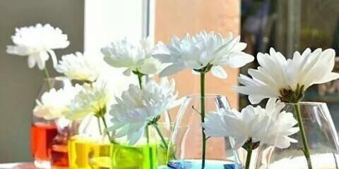 DrSurendraVerma's profile banner image